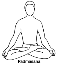 yp_pad2.gif (7854 bytes)